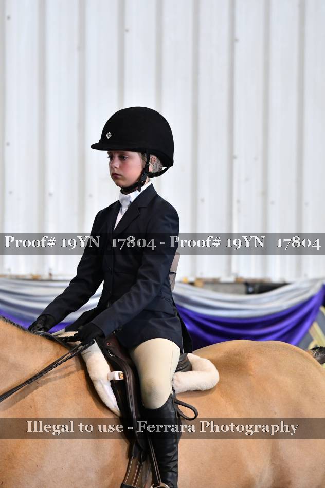 Proof 19YN_17804