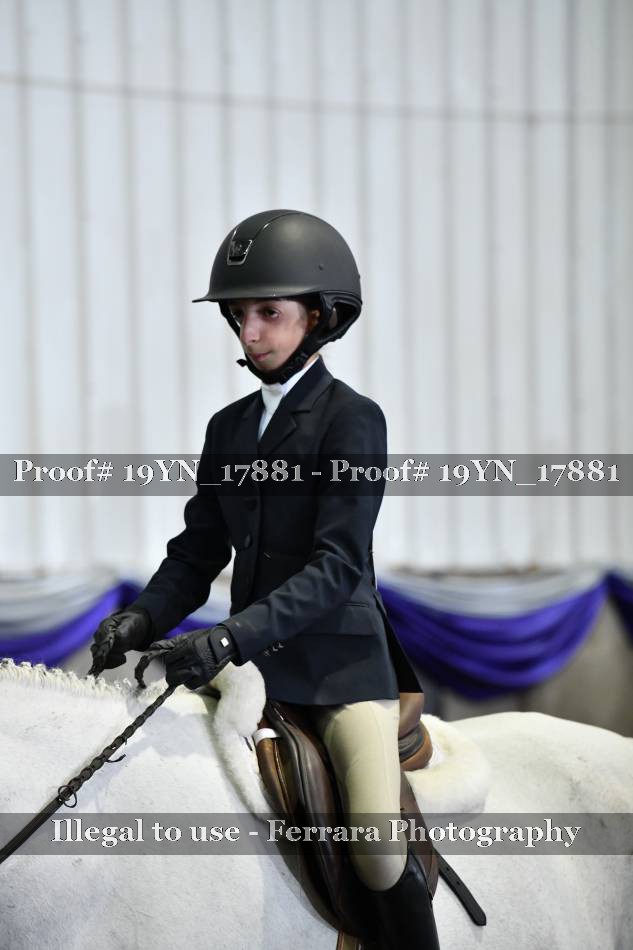 Proof 19YN_17881