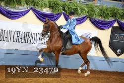 19YN_23470 proof