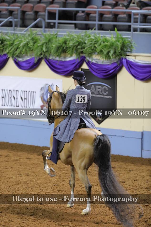 Proof 19YN_06107