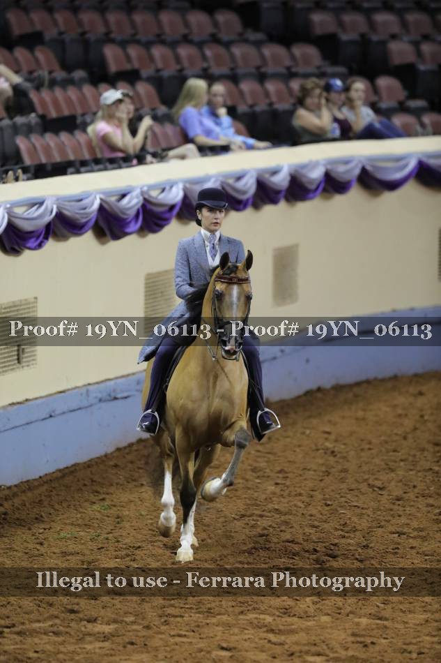 Proof 19YN_06113