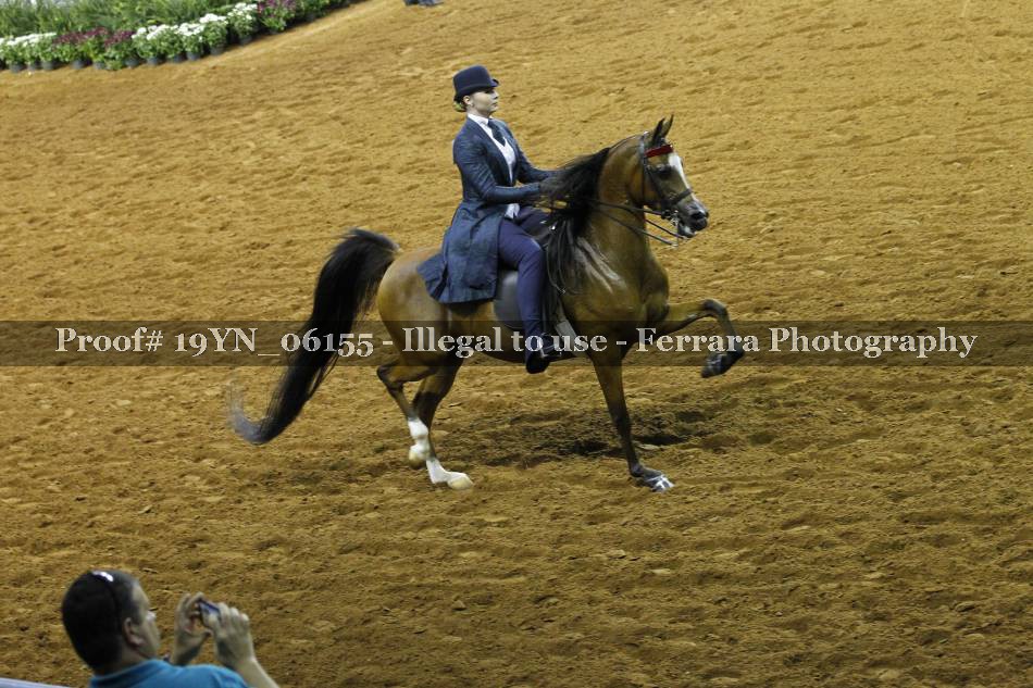 Proof 19YN_06155