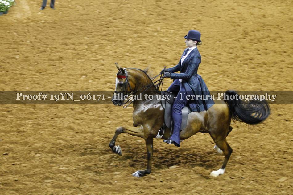 Proof 19YN_06171