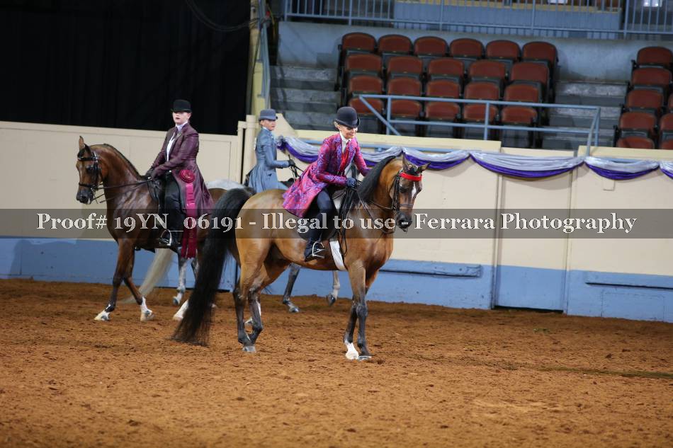 Proof 19YN_06191