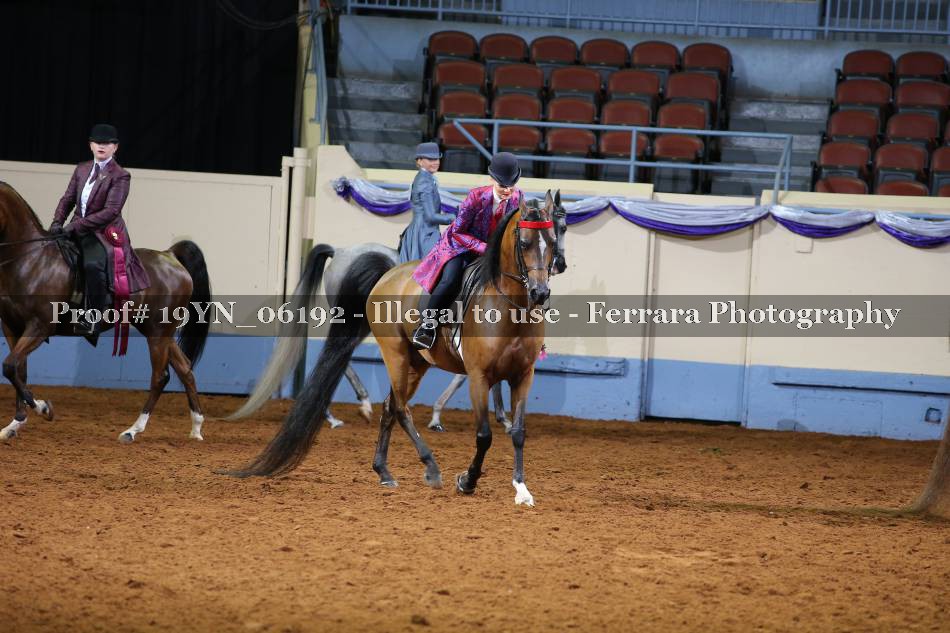 Proof 19YN_06192