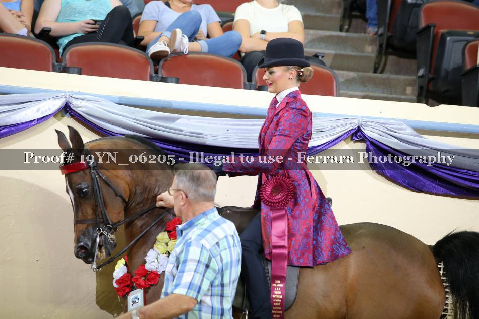 Proof 19YN_06205