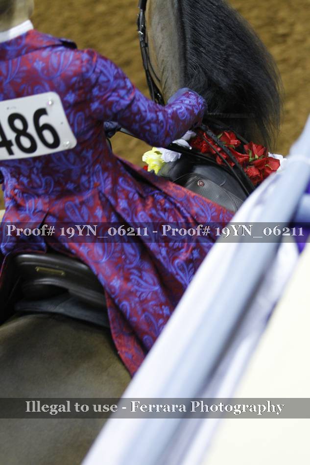 Proof 19YN_06211