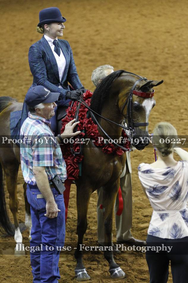 Proof 19YN_06227