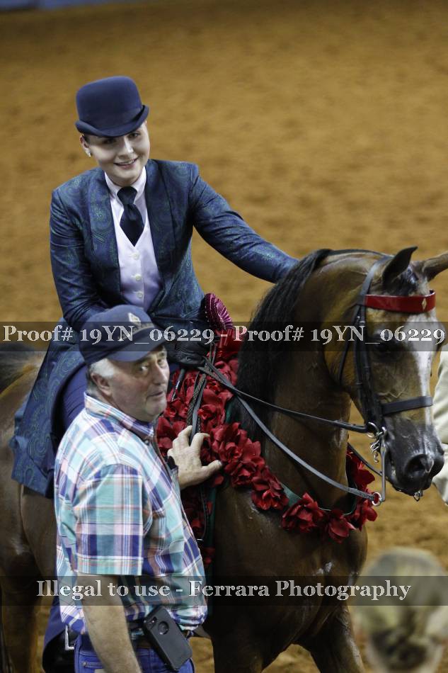 Proof 19YN_06229