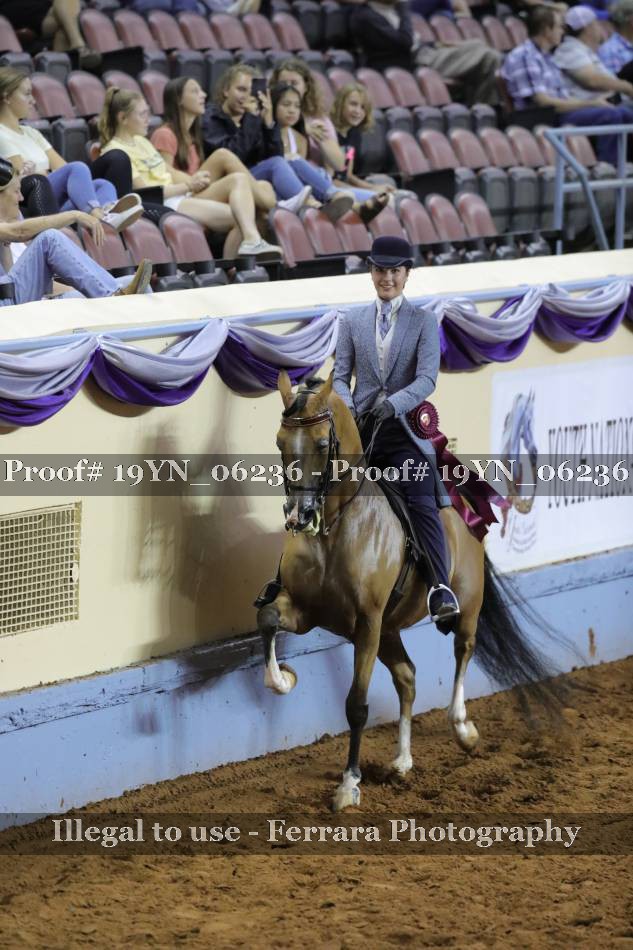 Proof 19YN_06236