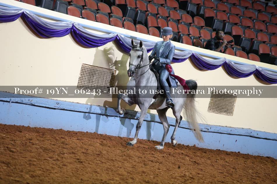 Proof 19YN_06243
