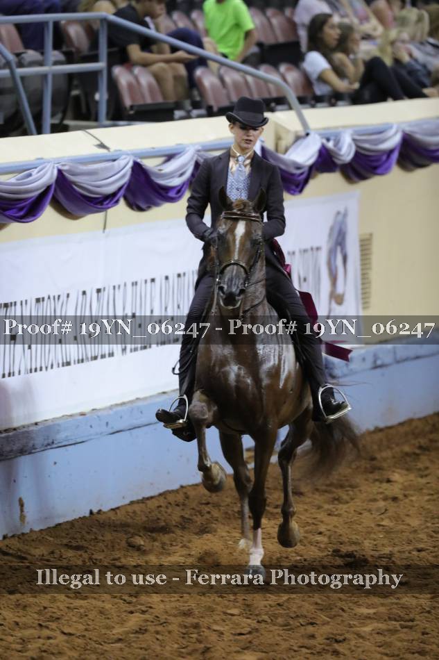 Proof 19YN_06247