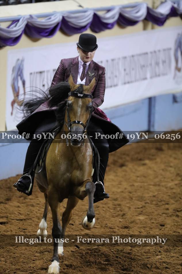 Proof 19YN_06256