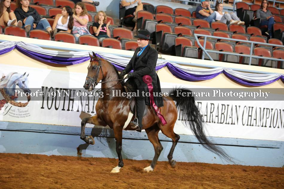 Proof 19YN_06263
