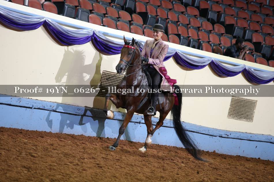 Proof 19YN_06267