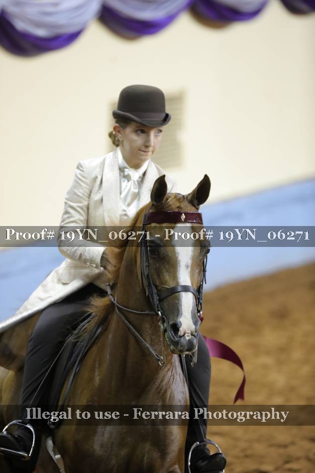 Proof 19YN_06271