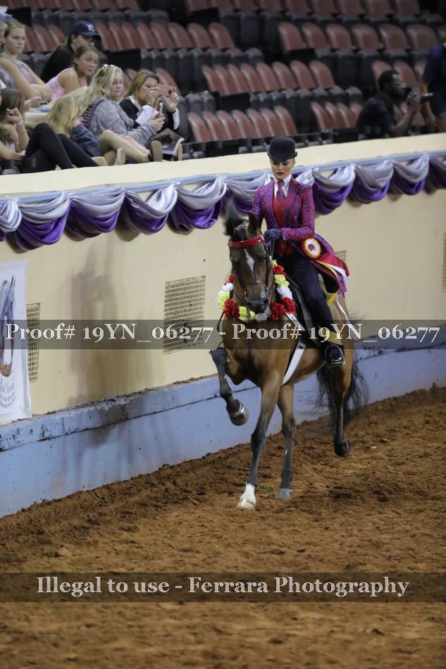 Proof 19YN_06277