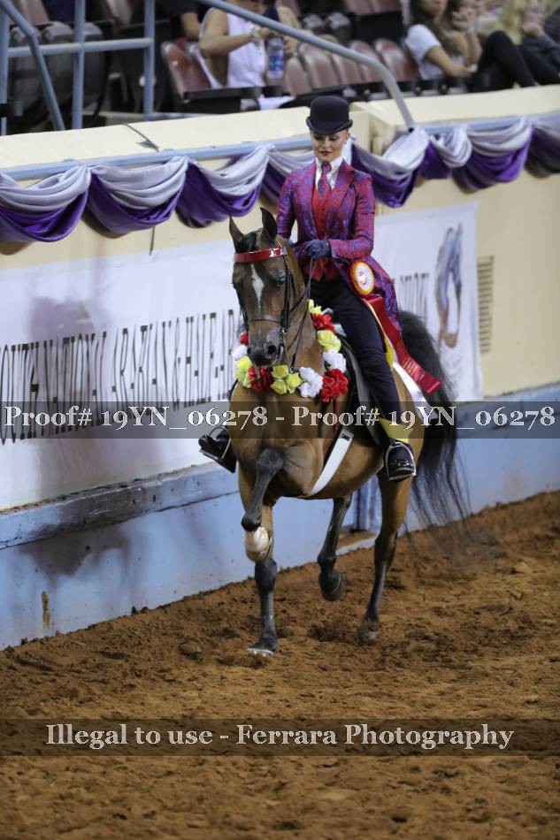 Proof 19YN_06278