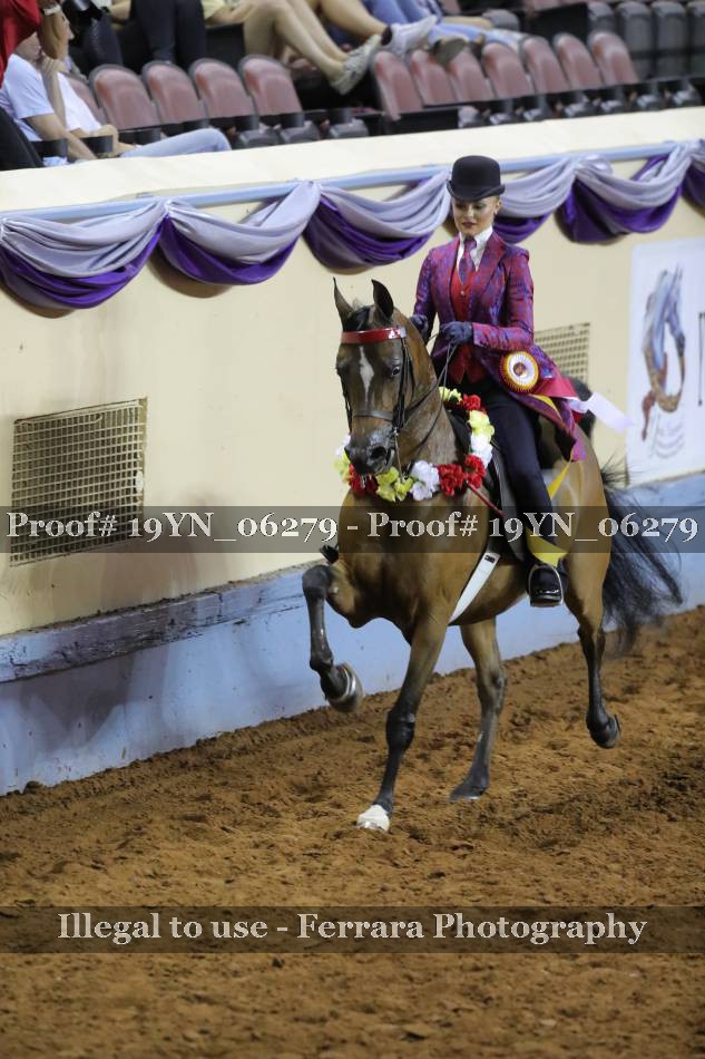 Proof 19YN_06279