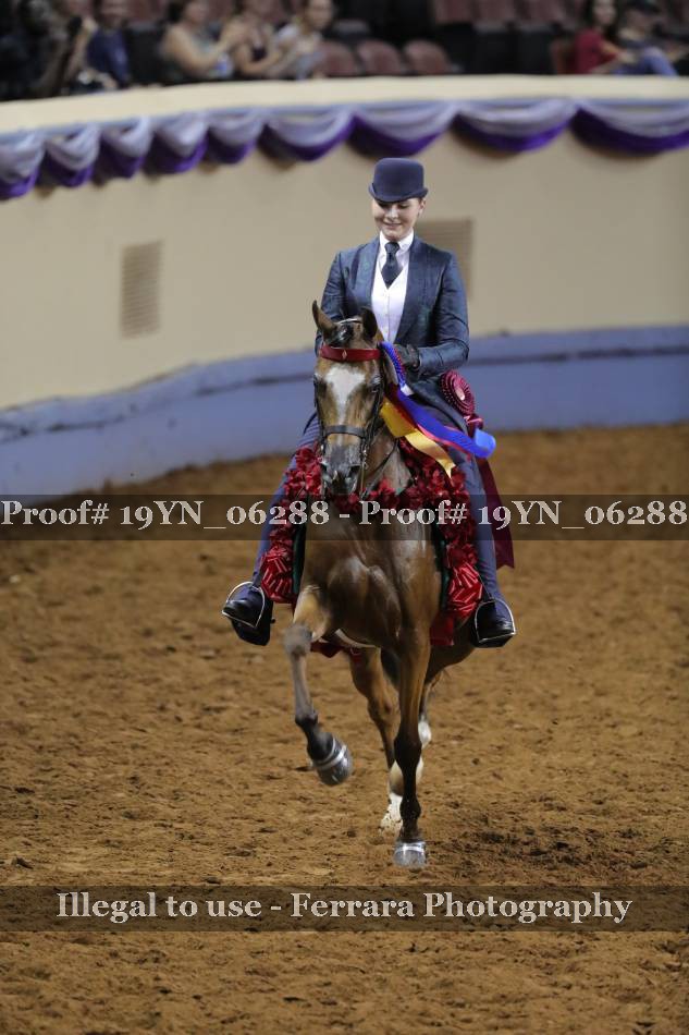 Proof 19YN_06288