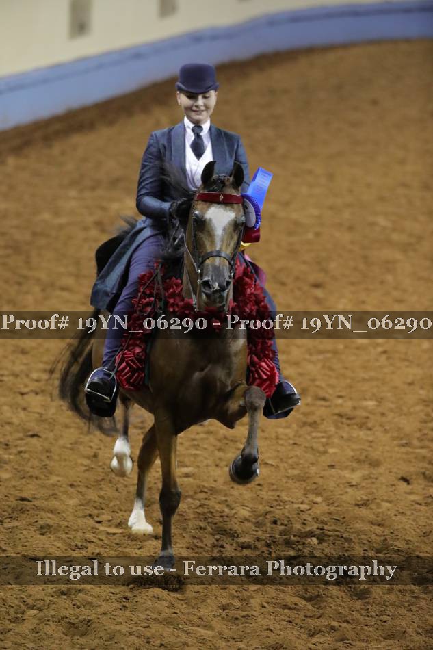 Proof 19YN_06290