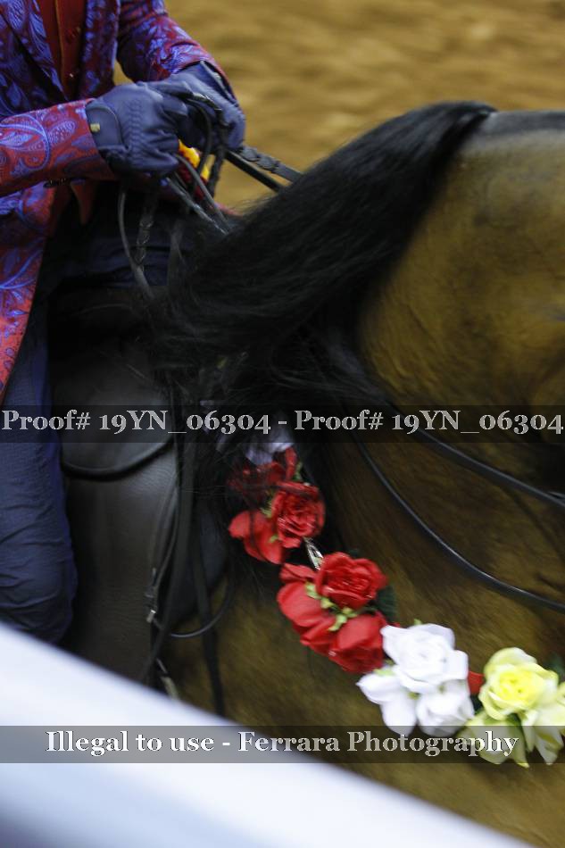 Proof 19YN_06304