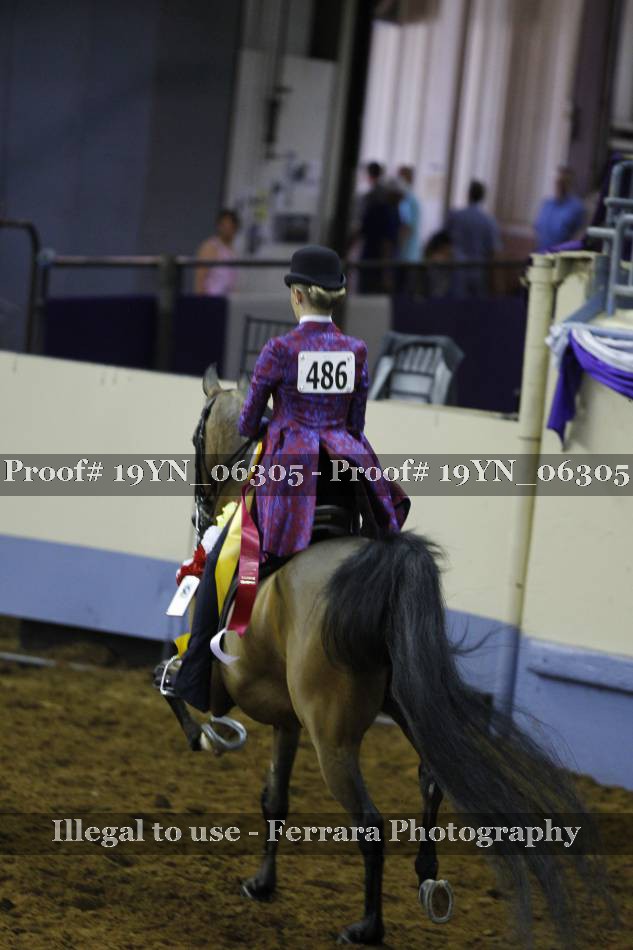 Proof 19YN_06305