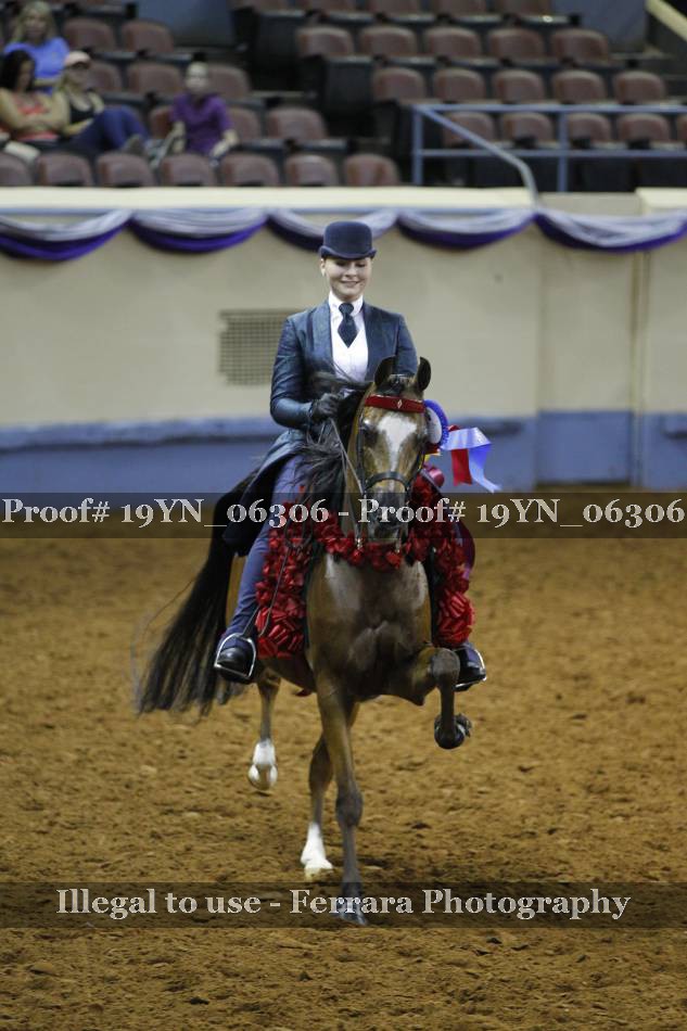 Proof 19YN_06306
