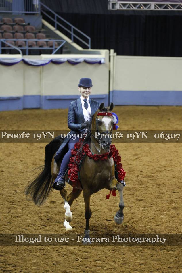 Proof 19YN_06307