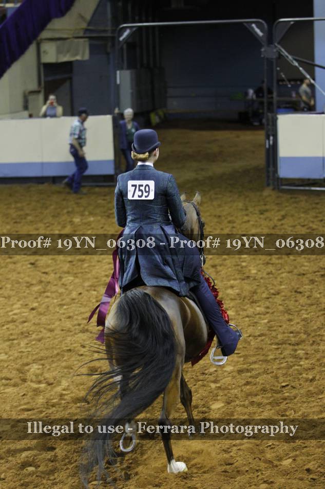 Proof 19YN_06308