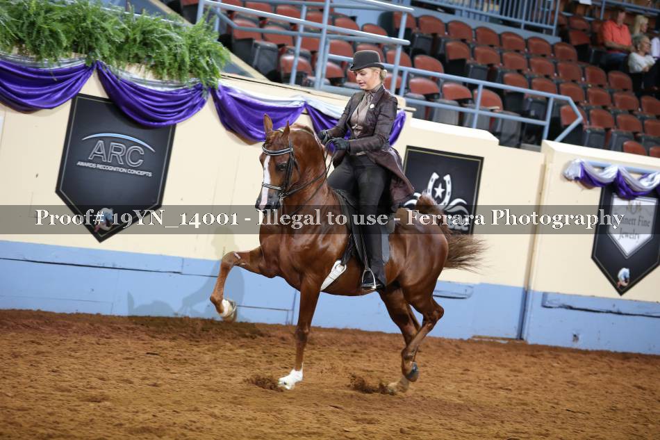 Proof 19YN_14001