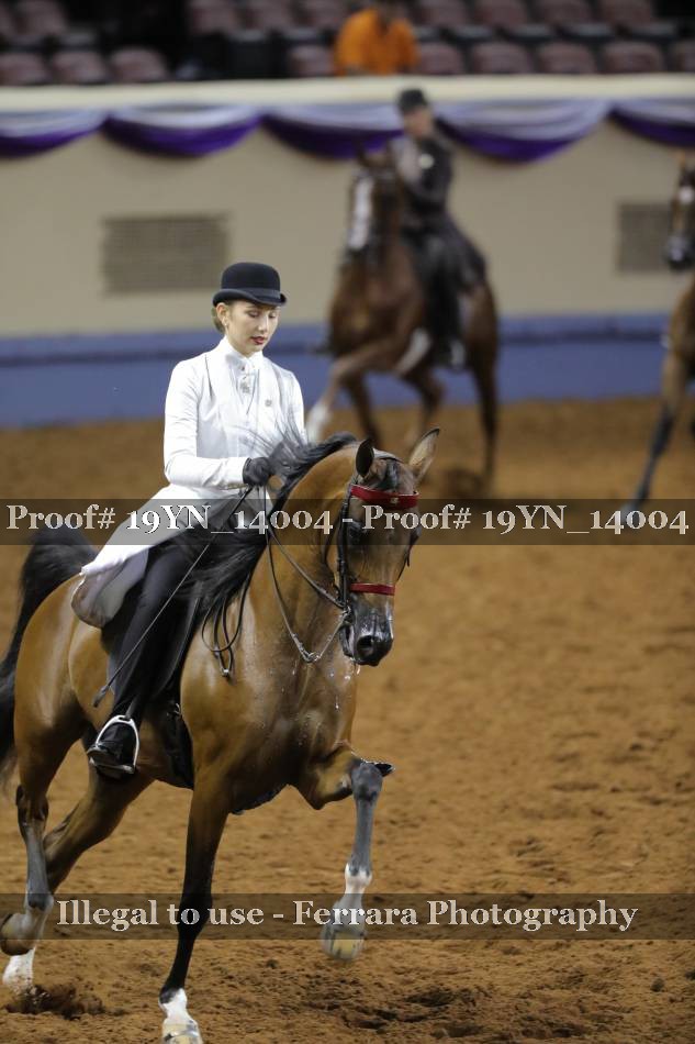 Proof 19YN_14004