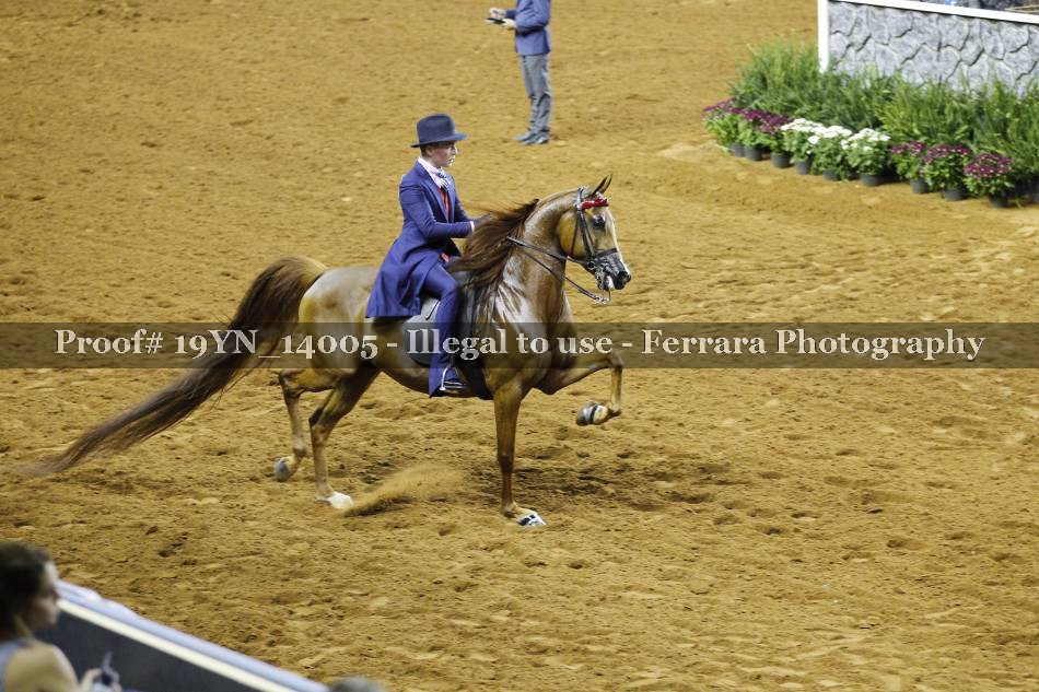 Proof 19YN_14005