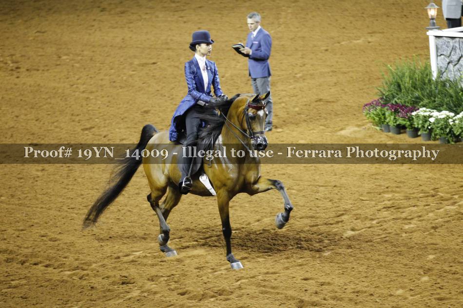 Proof 19YN_14009