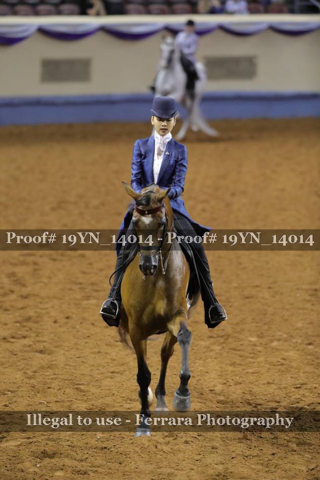 Proof 19YN_14014