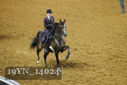 19YN_14024 proof