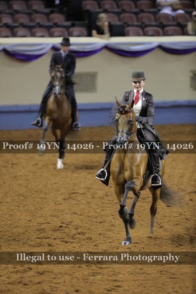 Proof 19YN_14026