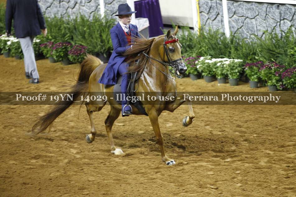 Proof 19YN_14029