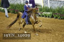 19YN_14029 proof