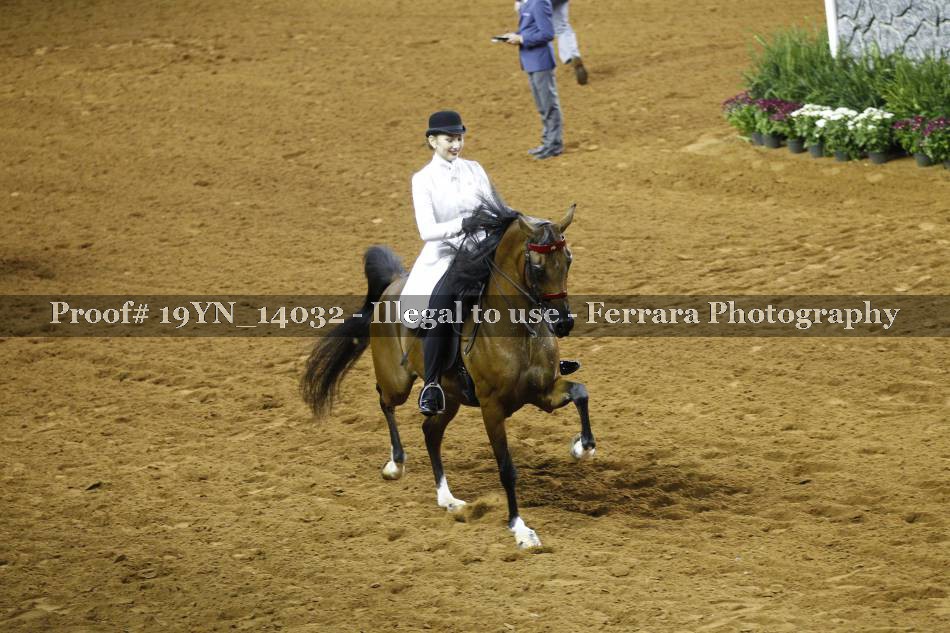 Proof 19YN_14032