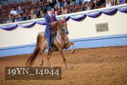 19YN_14044 proof