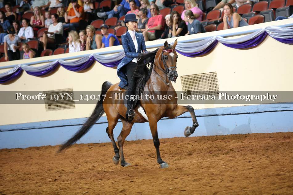 Proof 19YN_14047