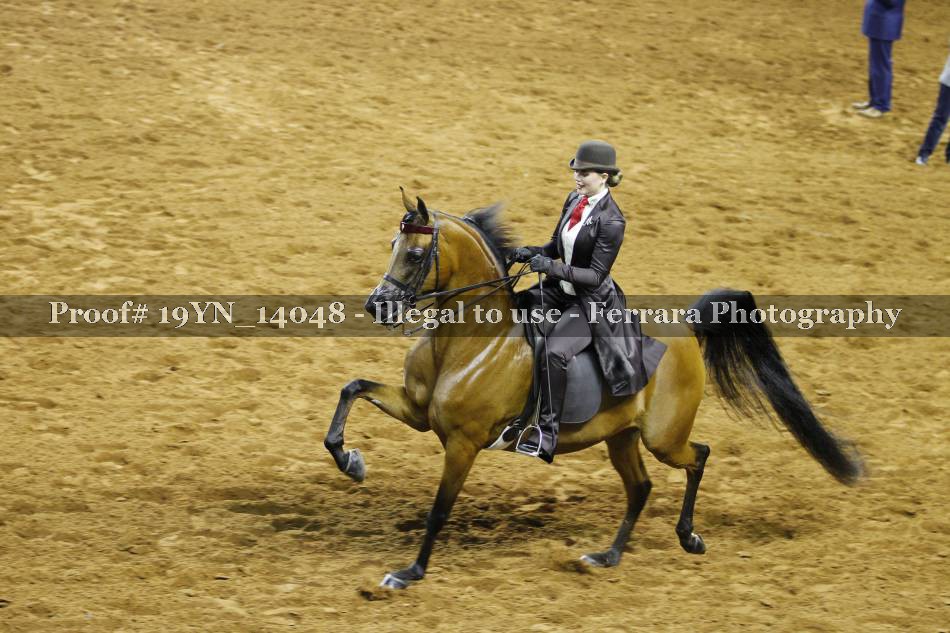 Proof 19YN_14048