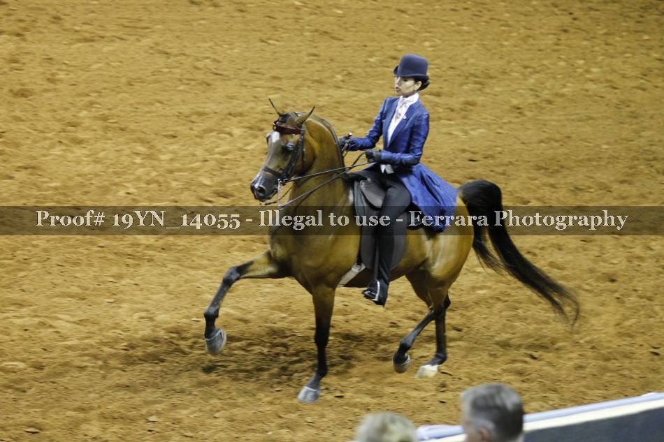 Proof 19YN_14055