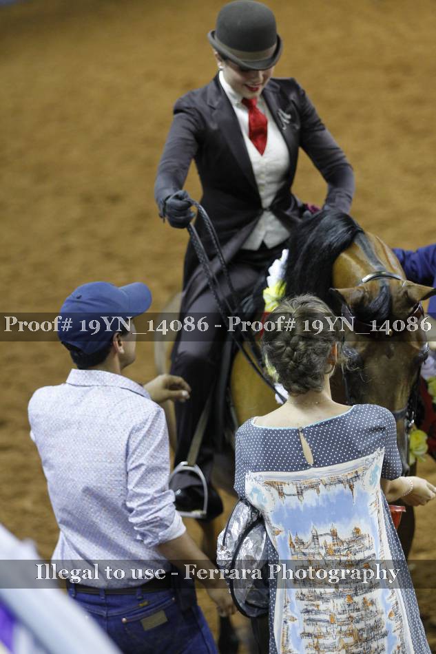 Proof 19YN_14086