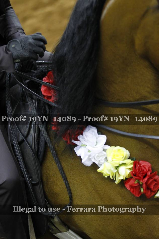 Proof 19YN_14089