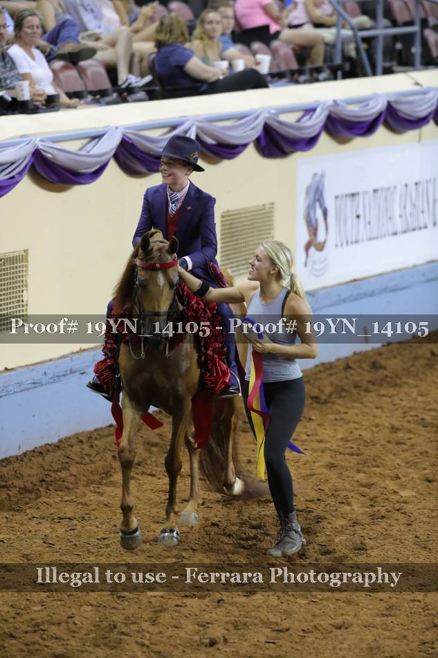 Proof 19YN_14105