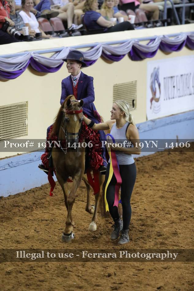 Proof 19YN_14106