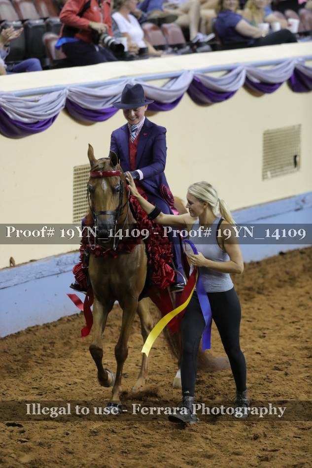 Proof 19YN_14109