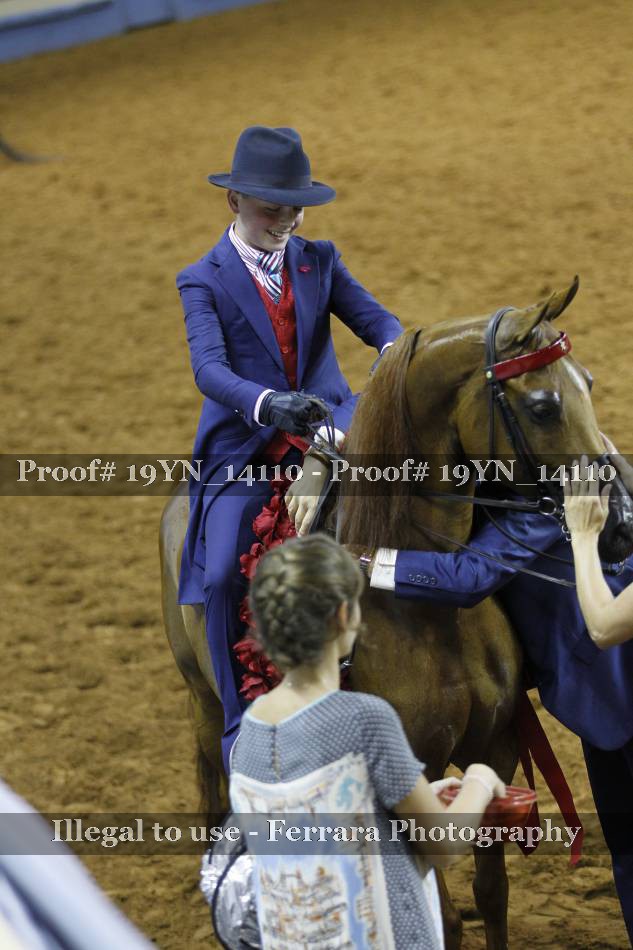 Proof 19YN_14110